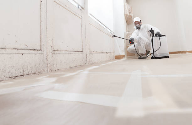 24/7 Emergency Mold Cleanup experts in Worcester, PA