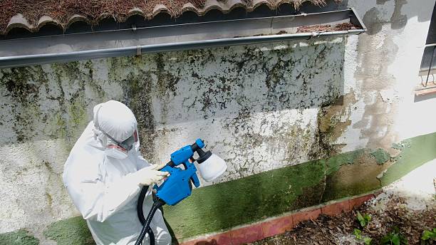 Top rated local Mold Cleanup specialists in Worcester, PA